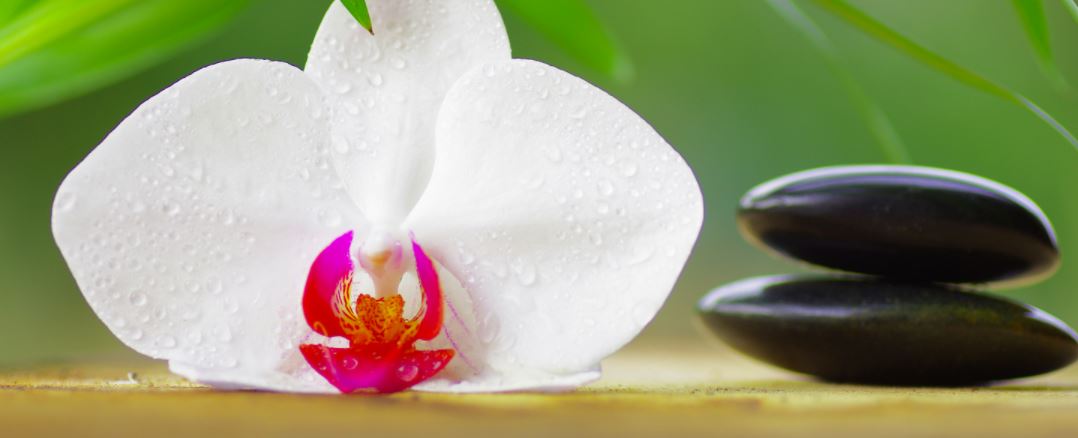 Beba - Dauerhafte Haarentfernung — Studio Bergkamen